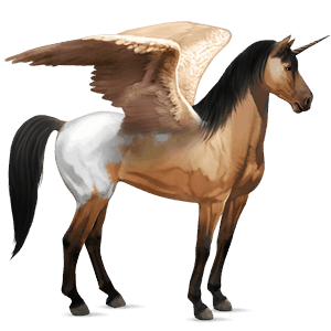 winged riding unicorn dun blanket 