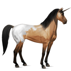 riding unicorn dun