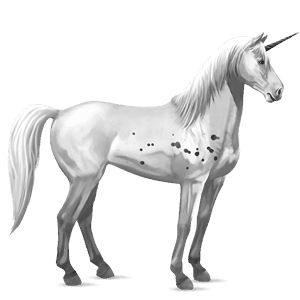 riding unicorn friesian black