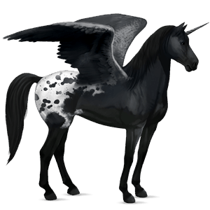 winged riding unicorn akhal-teke bay