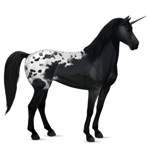riding unicorn bay