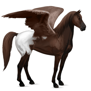 riding pegasus argentinean criollo mouse grey