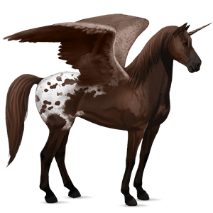 winged riding unicorn shagya arabian light grey
