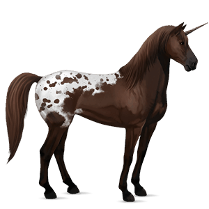 riding unicorn dark bay