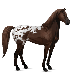 riding horse tennessee walker dark bay