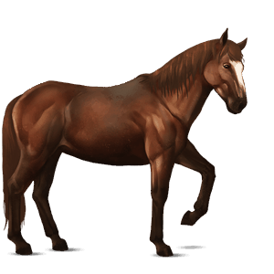 riding horse thoroughbred flaxen chestnut 