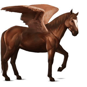 riding pegasus dark bay