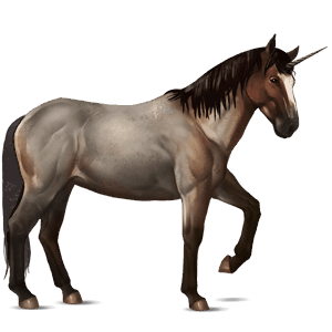 riding unicorn nokota dark bay