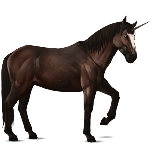 riding unicorn dark bay