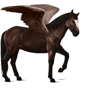 riding pegasus nokota roan