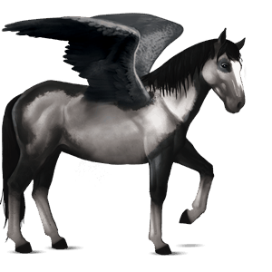 riding pegasus dark bay