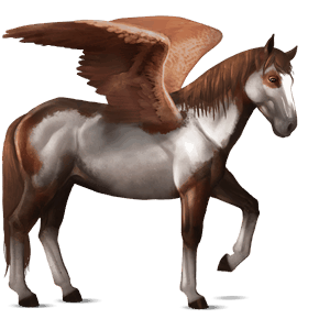 riding pegasus black