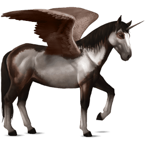 winged riding unicorn nokota dark bay overo