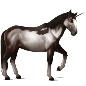 riding unicorn nokota dark bay overo