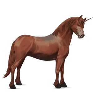 unicorn pony highland pony chestnut