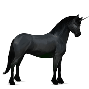unicorn pony newfoundland pony black