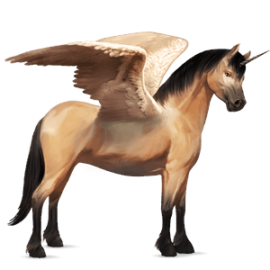 winged unicorn pony  dartmoor black