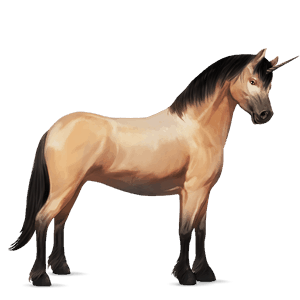 unicorn pony dark bay