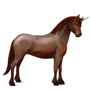 unicorn pony belgian riding pony chestnut