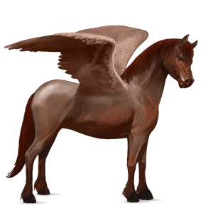 pegasus pony shetland dark bay