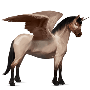 winged unicorn pony  kerry bog dun