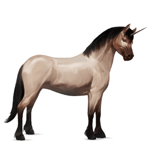 unicorn pony dartmoor dark bay