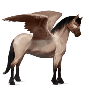 pegasus pony welsh roan
