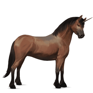 unicorn pony dartmoor bay