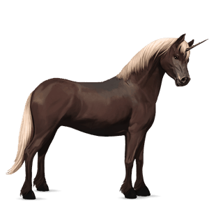 unicorn pony highland pony black