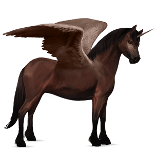 winged unicorn pony  new forest dark bay