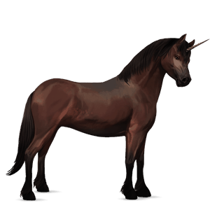 riding unicorn friesian black