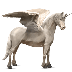 winged unicorn pony  dartmoor mouse grey