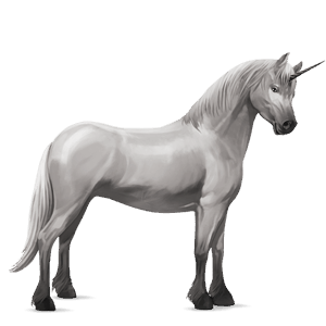 unicorn pony connemara light grey