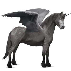 winged unicorn pony  newfoundland pony dapple grey