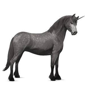 unicorn pony dartmoor dapple grey