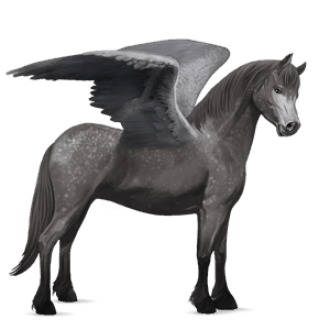 pegasus pony connemara dapple grey