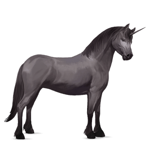 unicorn pony highland pony mouse grey