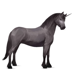 unicorn pony newfoundland pony chestnut