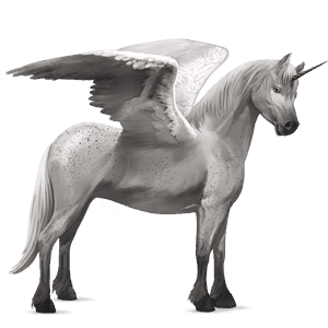 winged unicorn pony  black