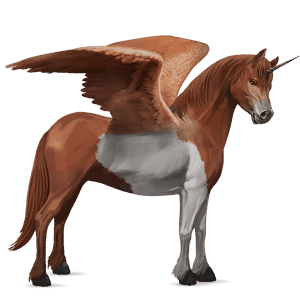 winged unicorn pony  black