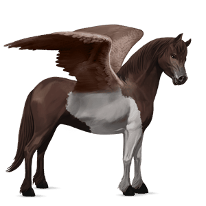 pegasus pony new forest cherry bay