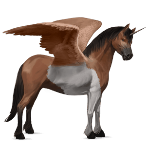 winged unicorn pony  bay