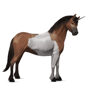 unicorn pony bay tobiano