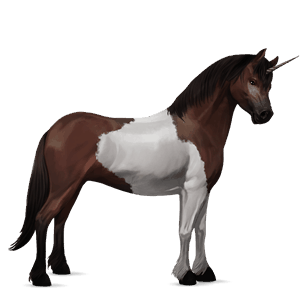 unicorn pony bay