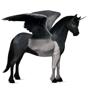 winged unicorn pony  dartmoor roan