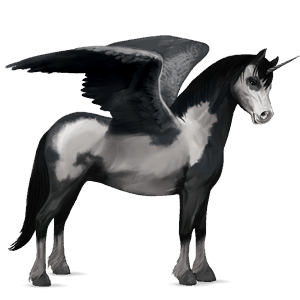 winged unicorn pony  shetland dark bay