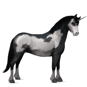 unicorn pony black