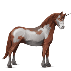 unicorn pony liver chestnut
