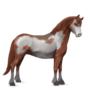 pony shetland flaxen chestnut 
