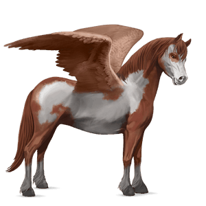 pegasus pony connemara chestnut